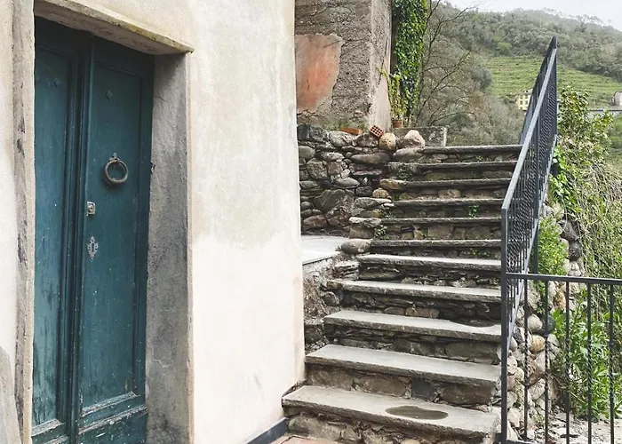 Сasa de vacaciones Residenza Nemus Vinea Mare E Montagna